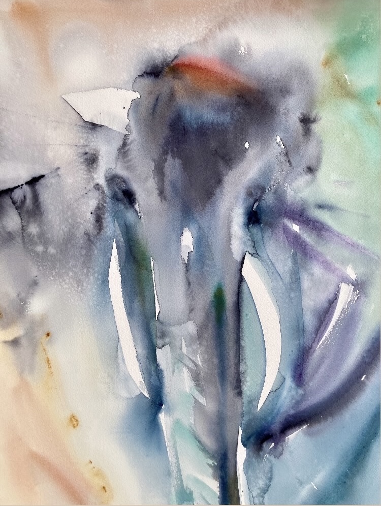 Elefant #5